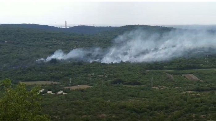 Corpo forestale regionale - incendio Doberdò del Lago