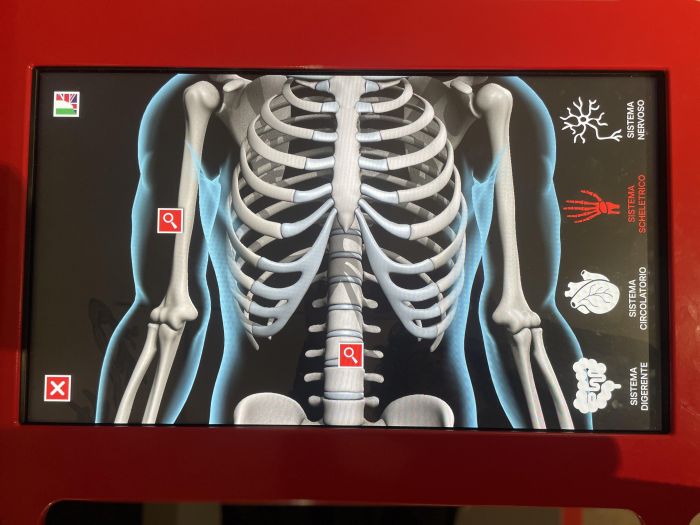 Cosa c'è "Sotto la pelle"? Lo spiega l'Immaginario Scientifico di Trieste