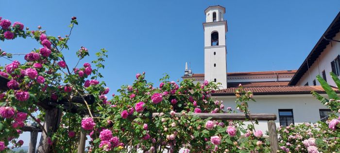  Al via la 20° edizione del Festival delle Rose di Nova Gorica