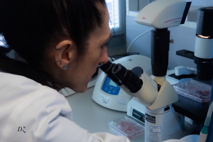 Trieste, scoperta una nuova malattia genetica rara al all'IRCCS Burlo Garofolo