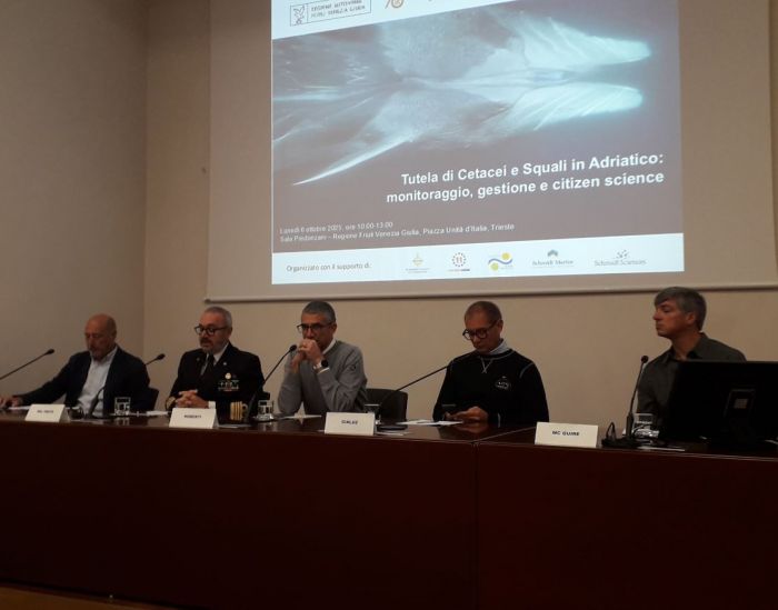 Barcolana: Roberti, nuovi studi su cetacei che rafforzano tutela ambiente marino in arrivo