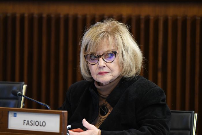 Salute, Fasiolo (PD): chiarire come si implementano case di comunità