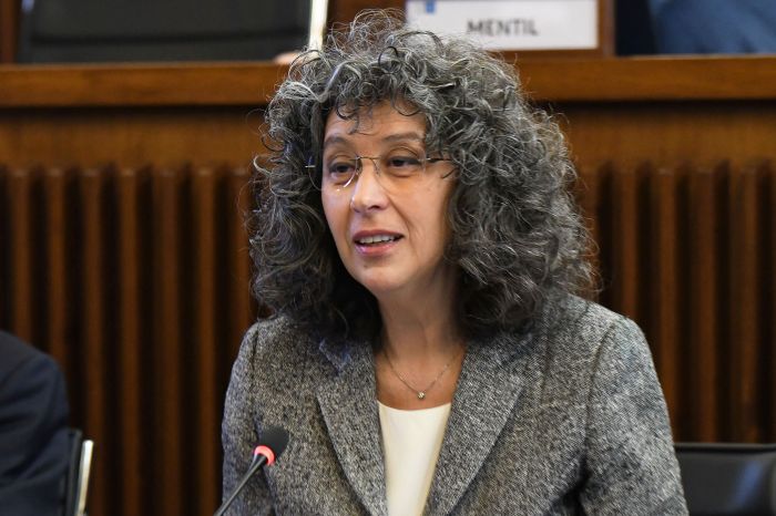 Sessione europea. Pellegrino "serve una nuova visione dell'abitare"