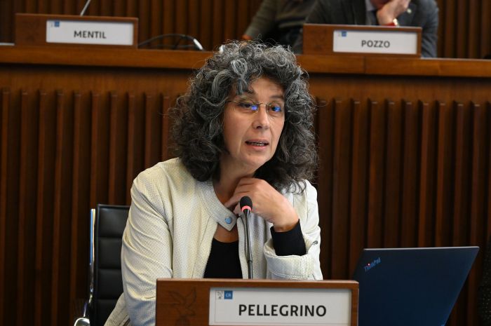 Porto di Trieste. Pellegrino (Avs), "no a nomine che militarizzano lo scalo"