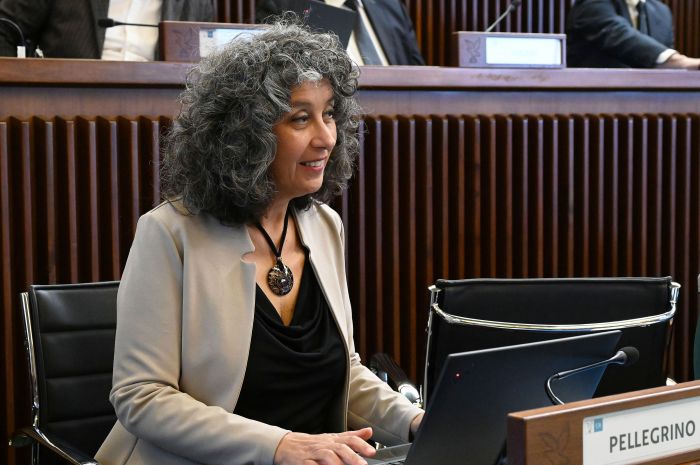 Ambiente. Pellegrino (Avs), "Sul Cormor serve chiarezza in commissione" 