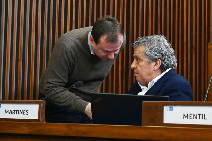 Salute, Martines-Pozzo (PD): introdurre psicologo territoriale nel Servizio Sanitario Regionale