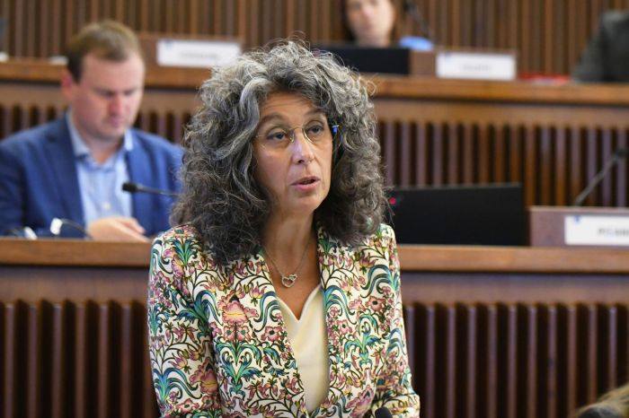 Villa Manin. Pellegrino (Avs): "Approvato mio odg su patrimonio storico" 