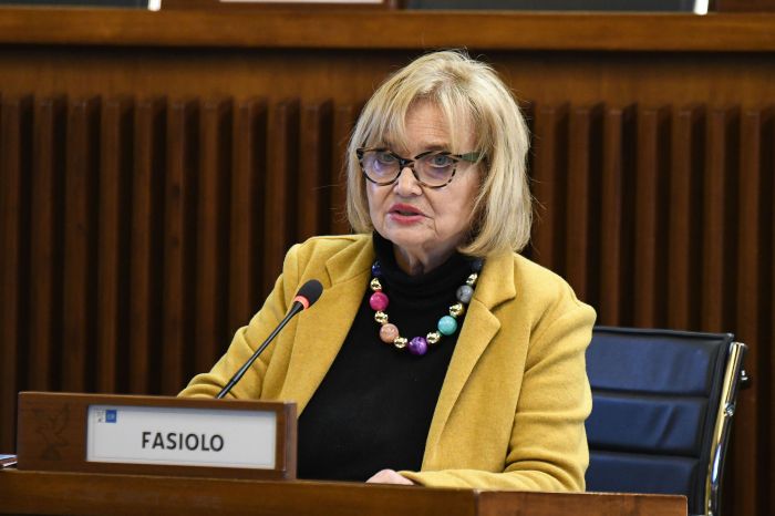 Viabilità. Fasiolo (Pd): "Si istituisca un tavolo politico per la tutela della Sdag di Gorizia"