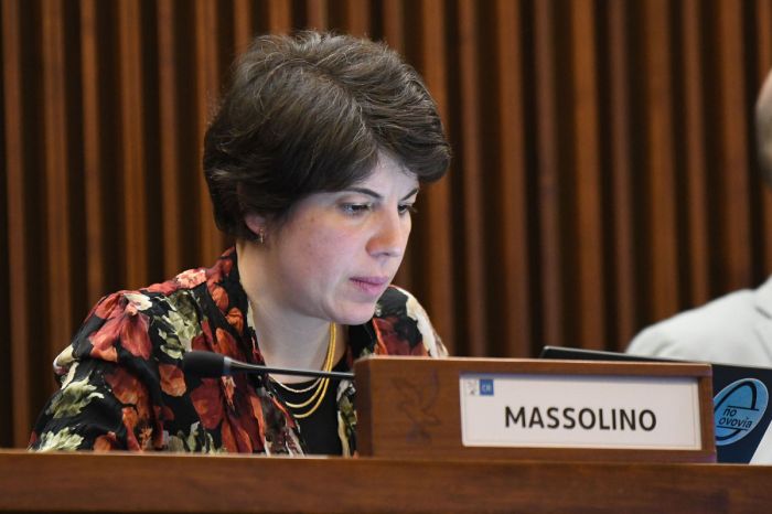 Grignano. Massolino: «Subito stop ai lavori per salvare i pini di Grignano, la Regione riveda il progetto» 