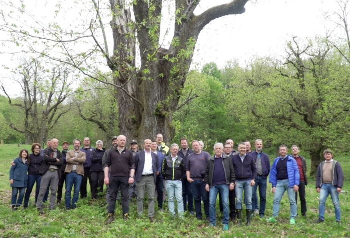 Agricoltura, Zannier: "recupero castagni S. Leonardo è idea virtuosa"