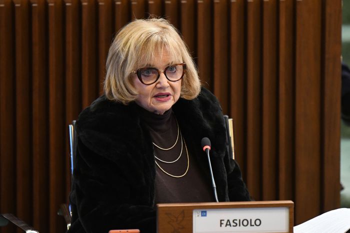 “Un segnale forte al Governo”: Fasiolo esulta per il risultato del referendum