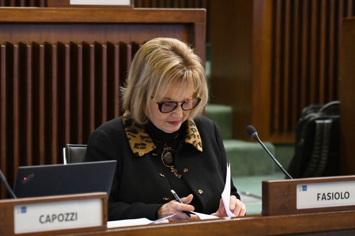 Fasiolo (Pd): “Chiudere i Cpr, situazione inumana a Gradisca”