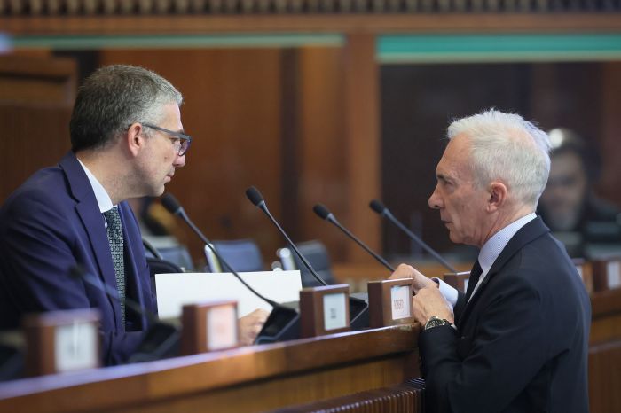 Sicurezza, Novelli (FI): tema prioritario soprattutto per persone fragili