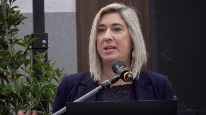 Infrastrutture. Amirante, "ok al progetto cavalcaferrovia di Cormons"