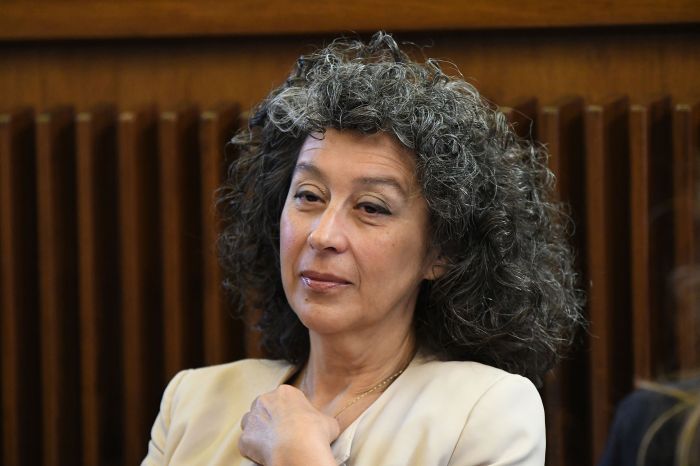 Sterilizzazioni e anagrafe felina nazionale: Pellegrino ritira gli emendamenti, la Giunta promette approfondimenti