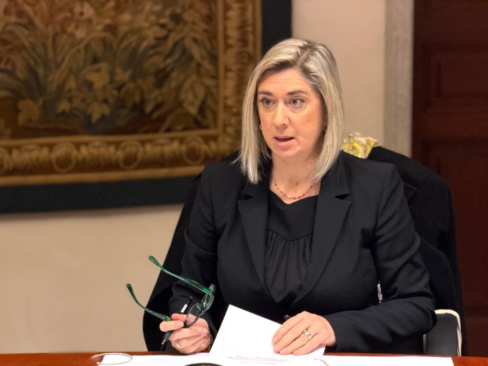 Ponte sul Colvera a Frisanco, via libera al progetto da 2,65 milioni: al via la manutenzione straordinaria