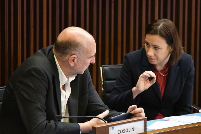 Medio Friuli e Bassa senza medici: Celotti (Pd) accusa i ritardi della politica