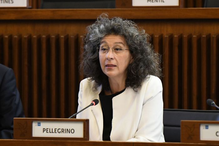 Musica, Pellegrino (Avs): “Bene la legge, ma rischia di fallire senza vera tutela del lavoro”