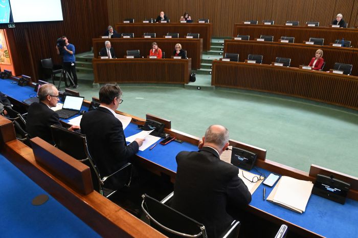 Commissione archivia la petizione "Salviamo il Burlo e la pineta di Cattinara": resta il dibattito sul progetto e gli alberi abbattuti