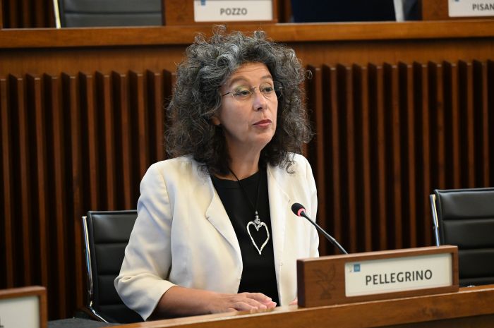 Pellegrino (AVS): “Serve più impegno per i diritti di anziani e disabili, non solo buone intenzioni”