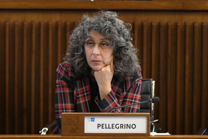 Salute, Pellegrino (AVS): depauperamento continuo, decisioni avventate