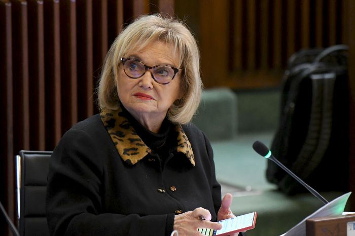 ZLS in Friuli Venezia Giulia: Fasiolo (Pd) esprime soddisfazione per l'approvazione e sfida per il futuro economico della regione