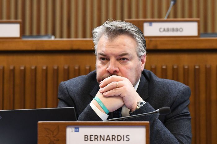 Autonomia differenziata. Bernardis (Fp), "territori protagonisti, il Fvg resta speciale"