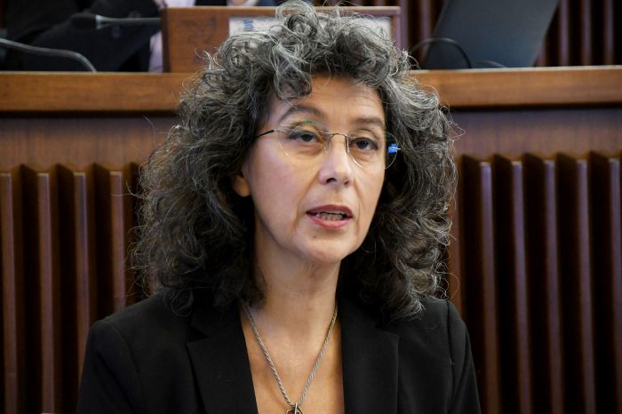 Pellegrino (AVS): 'Il bonus fotovoltaico favorisce chi ha già risorse, penalizzando le famiglie in difficoltà'