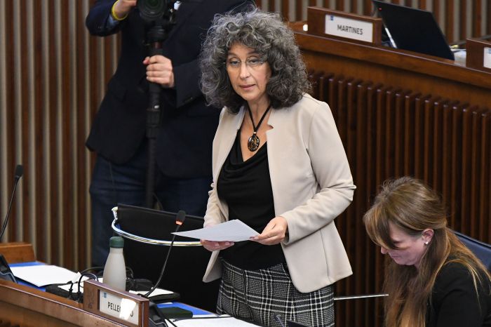 Judrio, Pellegrino (Avs): “Soddisfatta per gli interventi annunciati, ma serve rapida attuazione”