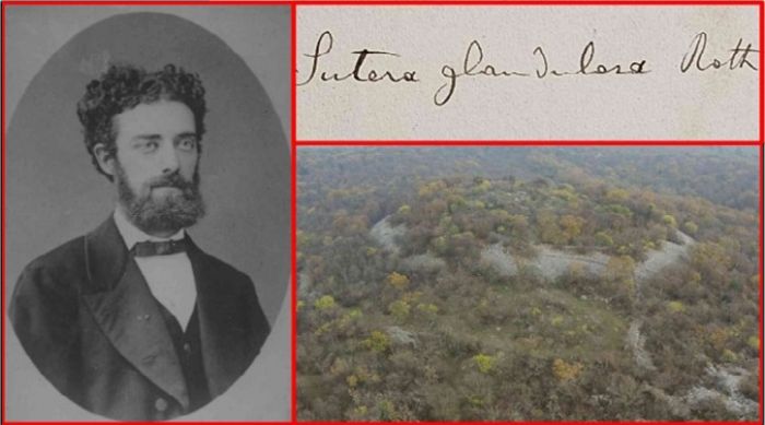 1° aprile: Trieste celebra i 100 anni dalla scomparsa di Carlo Marchesetti
