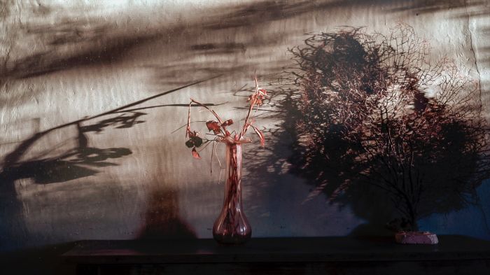 Jazz, immagini e spiritualità: Venezia accende l’autunno con l’arte che unisce suono e visione