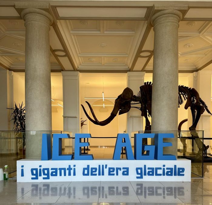 Sabato ultimissimo giorno per ammirare il meraviglio mammut in piazza Unità (e farsi selfie) 