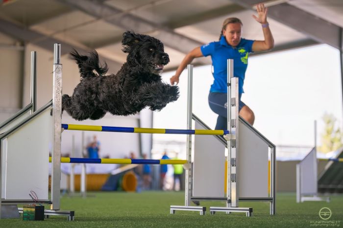 Fvg alla Supercoppa Italiana di Agility Dog, uno degli eventi più importanti del calendario cinofilo