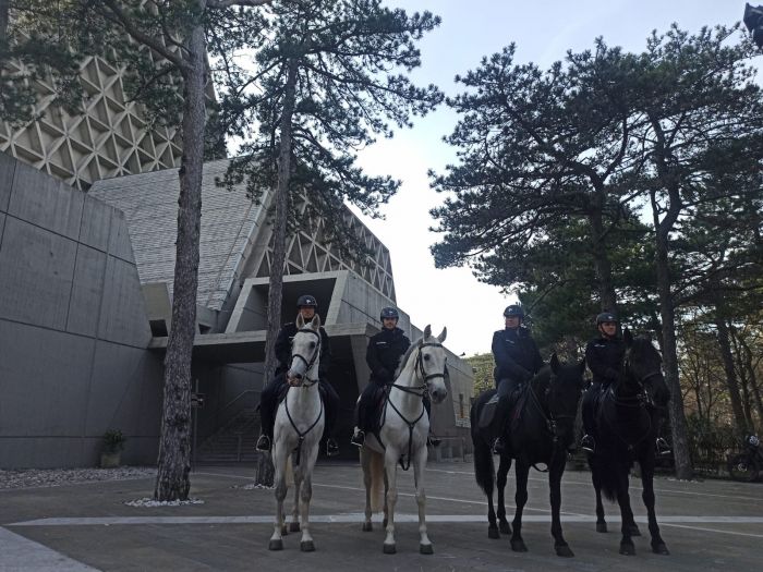 Pattuglia a cavallo sul Carso: da Montegrisa alla Napoleonica per presidiare il territorio (VIDEO)
