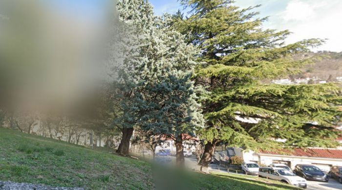 Avvistato uomo sospetto con una flex in via Canciani