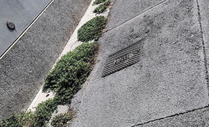 Via delle Campanelle: segnalato bisogno di sfalcio del marciapiede