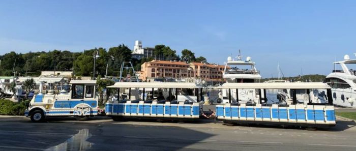 Un trenino turistico per i crocieristi: la proposta di un triestino