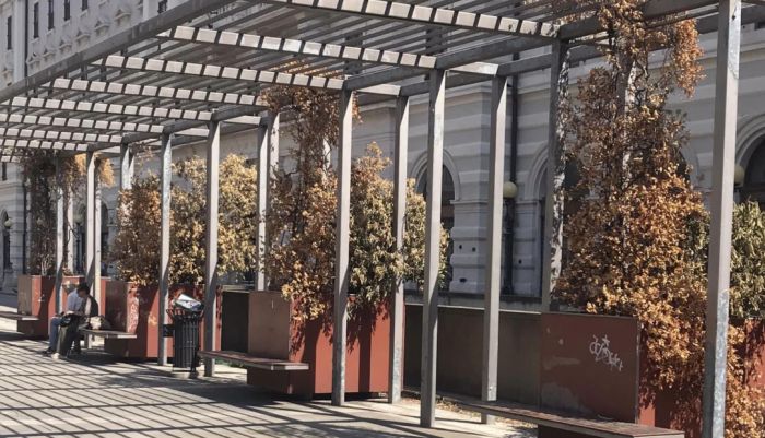 Triestino critica i lavori di verde pubblico in Piazza Vittorio Veneto