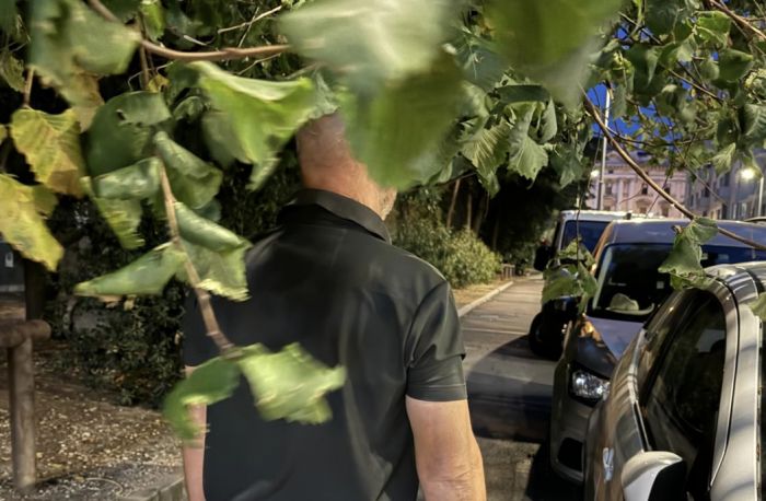Viale F. Severo: rami sporgenti creano pericolo per pedoni e automobilisti