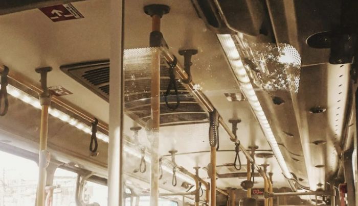 Triestina cerca testimoni per contestare multa su autobus: "Non ho timbrato in ritardo!"