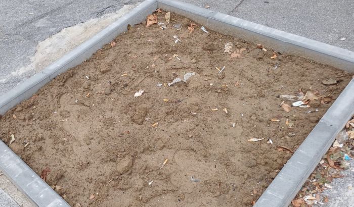 Degrado in via Fabio Severo: aiuola trasformata in deposito di spazzatura