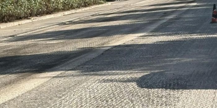 Triestino si lamenta sui social: “Mezz’ora di coda in viale Miramare, asfaltature si facciano di notte!”