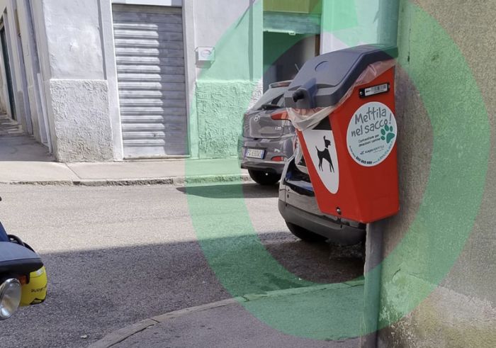 Triestina: "Se vi fa schifo raccoglierla, non prendete un cane"