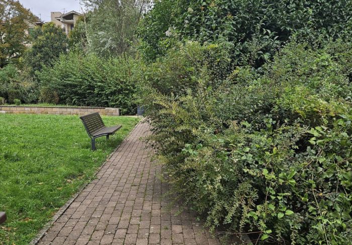 Giardin de Borgo: cittadino chiede chiarezza sulla potatura delle siepi