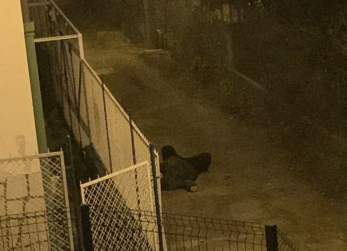 Illuminazione spenta da luglio: "ogni 10 giorni chiamiamo"