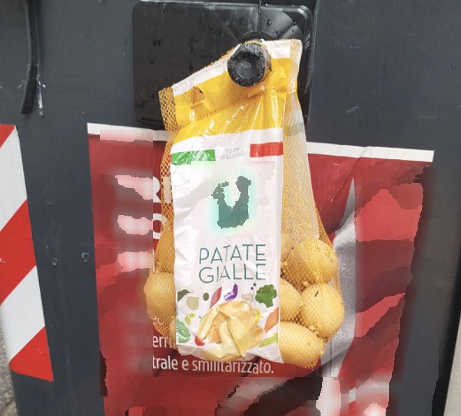 Patate abbandonate in via Madonna del Mare: la curiosa segnalazione di un triestino