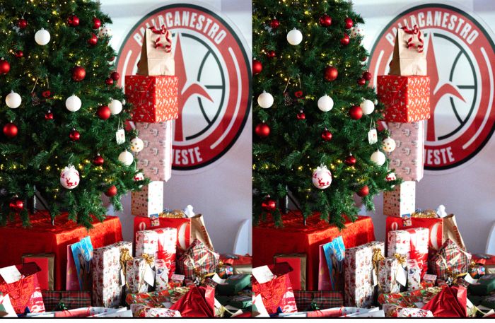 Pallacanestro Trieste, Il grande cuore di Trieste: oltre 500 doni raccolti