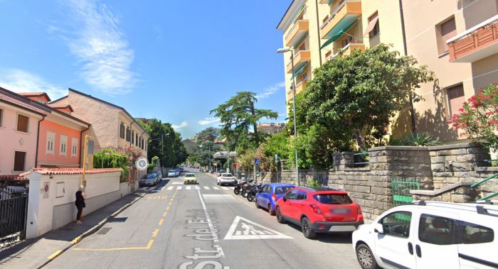 Strada del Friuli, morto un gattino investito da un'auto