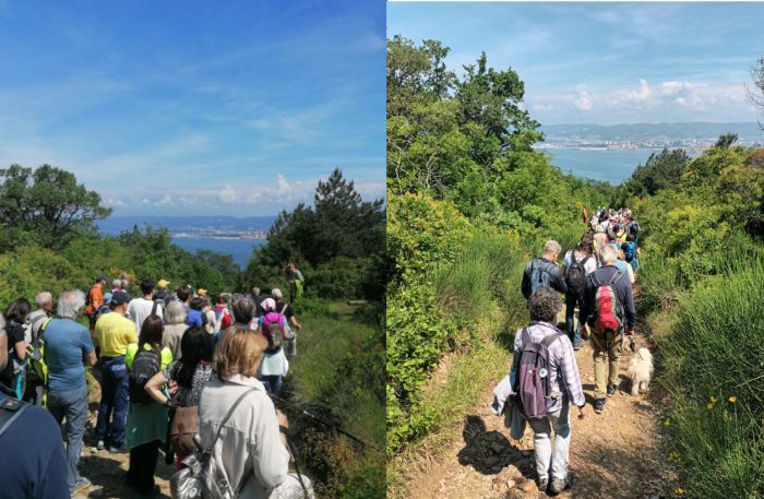Molto partecipata la passeggiata didattica organizzata dal Comitato Proteggiamo Punta Olmi