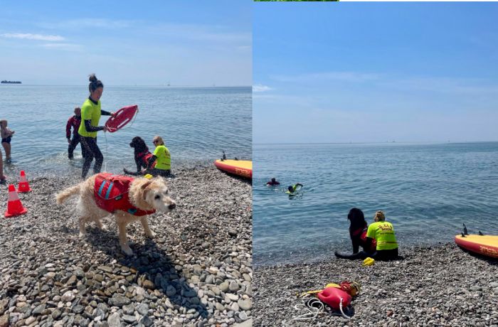 Mareinfvg: a Barcola spettacolo, divertimento ed emozioni con i cani del salvataggio (FOTO-VIDEO)
